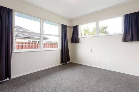 Photo of property in 163 Clarkin Road, Fairfield, Hamilton, 3214