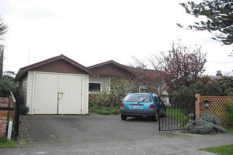 Photo of property in 113 Linton Street, West End, Palmerston North, 4410