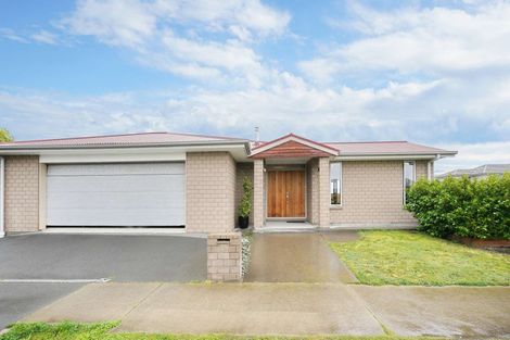 Photo of property in 19 Turvey Street, Pegasus, 7612