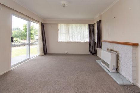 Photo of property in 27 Mokau Place, Terrace End, Palmerston North, 4410