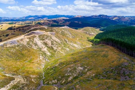 Photo of property in 3525 Masterton Castlepoint Road, Mangapakeha, Masterton, 5889