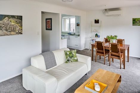 Photo of property in 41-43 Pukatea Street, Eastbourne, Lower Hutt, 5013