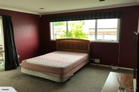 Photo of property in 33 Edinburgh Road, Hillcrest, Hamilton, 3216