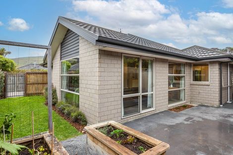 Photo of property in 33b Wilsons Road South, Saint Martins, Christchurch, 8022
