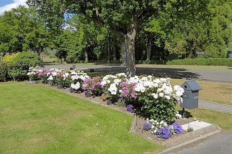 Photo of property in 177 Queen Street, Waimate, 7924