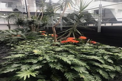 Photo of property in Y28/30 York Street, Parnell, Auckland, 1052