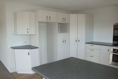 Photo of property in 32a Willow Street, Hampstead, Ashburton, 7700