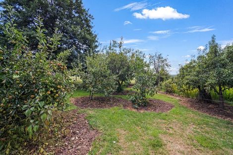 Photo of property in 331 Herbert Road, Herbert, Oamaru, 9495