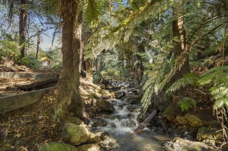 Photo of property in 441 Pukekauri Road, Waihi, 3682