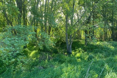 Photo of property in 64 Matahiwi Road, Matahiwi, Masterton, 5888