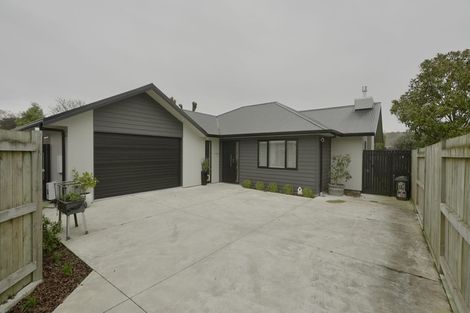 Photo of property in 63a Keeling Street, West End, Palmerston North, 4412