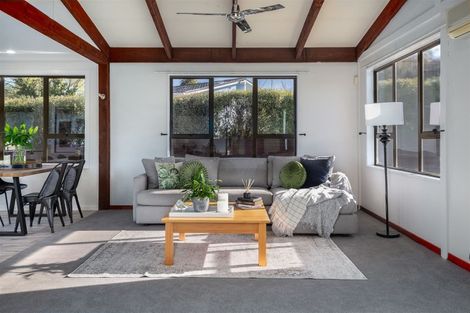 Photo of property in 15 Anglesea Street, Renwick, 7204