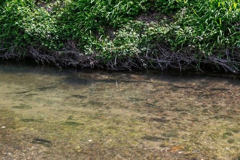 Photo of property in 1061 Paradise Valley Road, Ngongotaha Valley, Rotorua, 3072