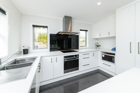 Photo of property in 83b Fitzroy Street, Terrace End, Palmerston North, 4410