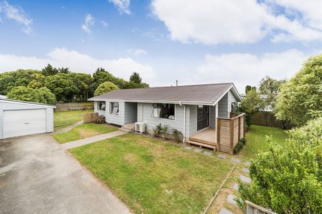 Photo of property in 31 Clarke Avenue, Highbury, Palmerston North, 4412