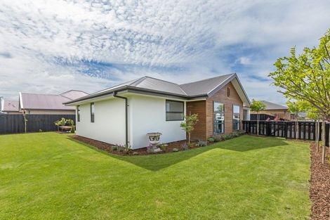 Photo of property in 59 Sunline Avenue, Lincoln, 7608