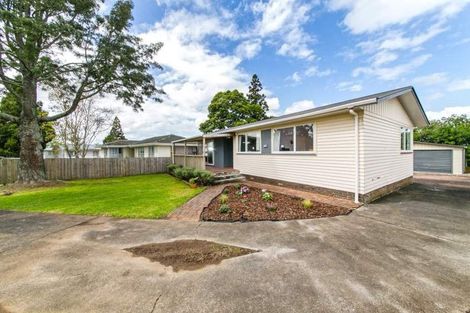 Photo of property in 85 Universal Drive, Henderson, Auckland, 0610