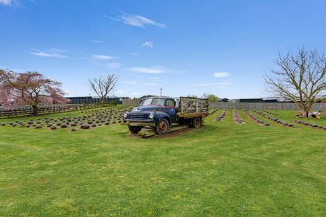 Photo of property in 169 Brotherhood Road, Kihikihi, Te Awamutu, 3875