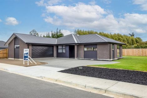 Photo of property in 55 Quinn Crescent, Woodend, 7610