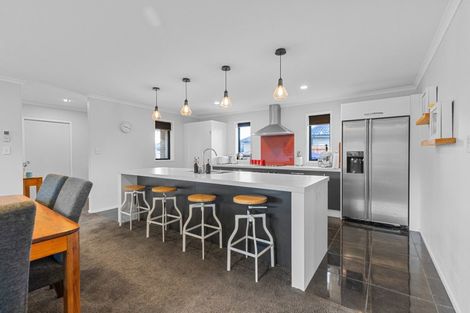 Photo of property in 17 Macdonald Heights, Feilding, 4702