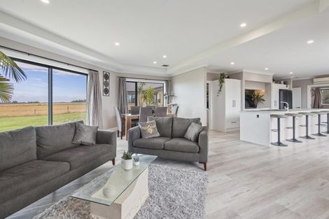 Photo of property in 764 Marshmans Road, Sefton, Rangiora, 7477