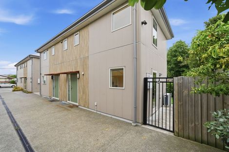 Photo of property in 7 Ettrick Lane, Richmond, Christchurch, 8013