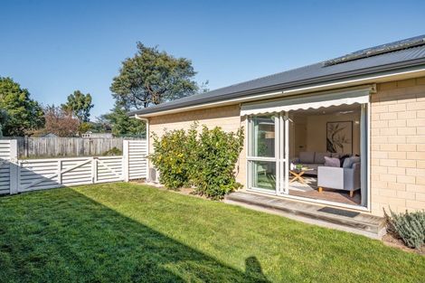 Photo of property in 45b Costley Street, Carterton, 5713