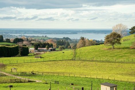 Photo of property in 314 Ross Road, Whakamarama, Tauranga, 3179