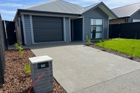 Photo of property in 29 Mills Road, Marshland, Christchurch, 8051