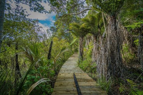 Photo of property in 295 Kopaki Point, Cooks Beach, Whitianga, 3591