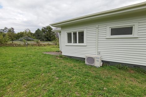 Photo of property in 117 Ponga Road, Opaheke, Papakura, 2584