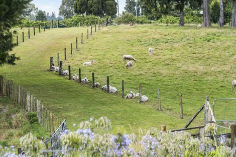 Photo of property in 37 Jacks Lane, Oropi, Tauranga, 3173