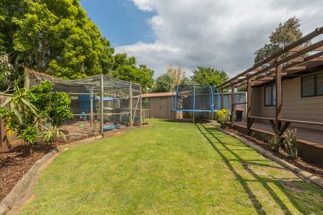 Photo of property in 36 Wylie Street, Gate Pa, Tauranga, 3112