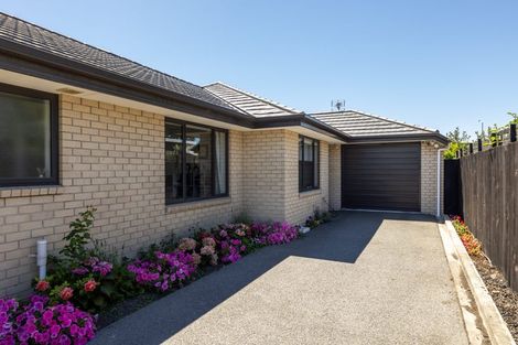 Photo of property in 19c Walpole Street, Waltham, Christchurch, 8023