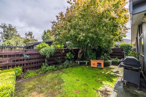 Photo of property in 178a Chapel Street, Masterton, 5810