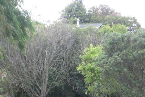 Photo of property in 56 Tiverton Road, Avondale, Auckland, 0600