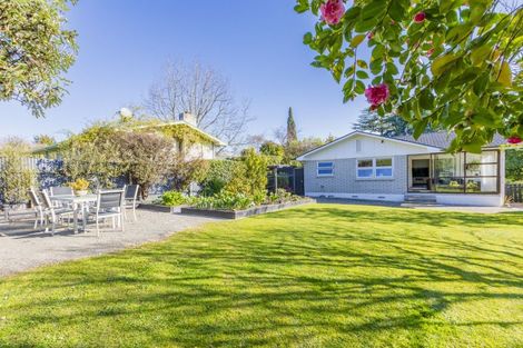 Photo of property in 19 Selwyn Road, Havelock North, 4130