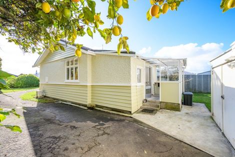 Photo of property in 38 Manson Street, Terrace End, Palmerston North, 4410