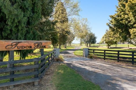 Photo of property in 182 Station Road, Matamata, 3472