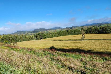Photo of property in 584b State Highway 3, Waitomo, Te Kuiti, 3977