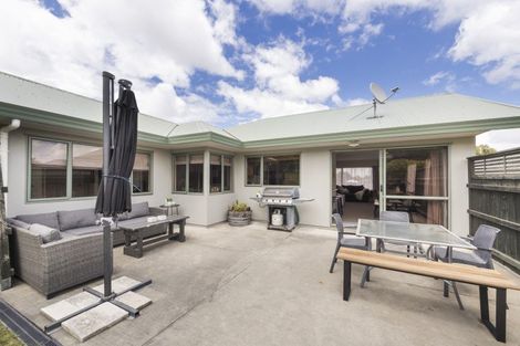 Photo of property in 62 Fraser Drive, Feilding, 4702