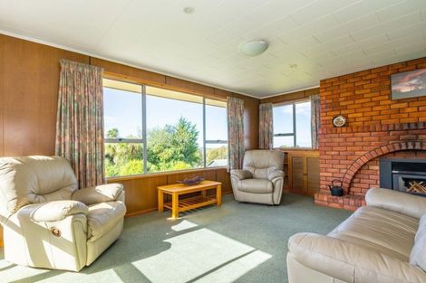 Photo of property in 24 Forest Road, Geraldine, 7930