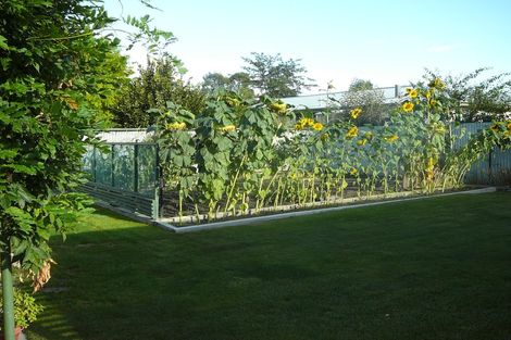 Photo of property in 20 Eureka Street, Alexandra, 9320