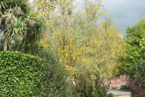 Photo of property in 173 Tuahiwi Road, Tuahiwi, Kaiapoi, 7691