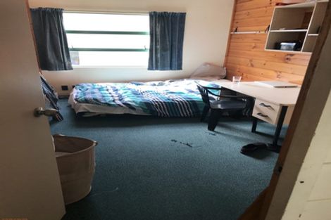 Photo of property in Te Awhina Apartments, 29/22 Sussex Street, Mount Cook, Wellington, 6021