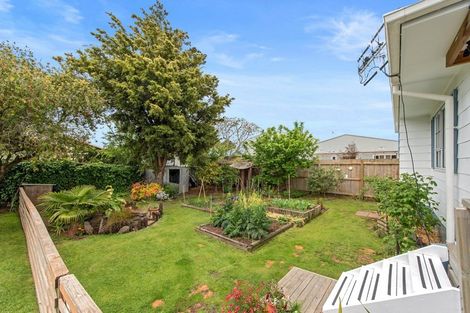 Photo of property in 62a Alison Street, Hamilton Lake, Hamilton, 3204