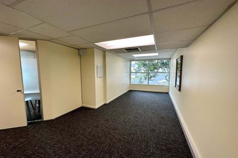 Photo of property in 8a Madeira Lane, Grafton, Auckland, 1023