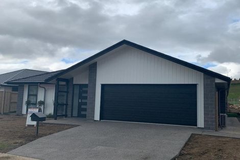 Photo of property in 118 Whakaturou Crescent, Pyes Pa, Tauranga, 3112