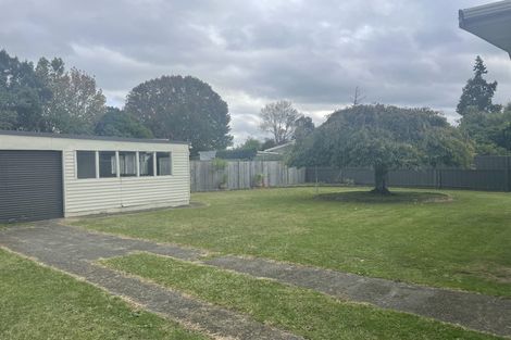 Photo of property in 41 Fitzroy Avenue, Fitzroy, Hamilton, 3206