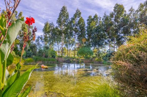 Photo of property in 2b Bibby Street, Waipawa, 4210